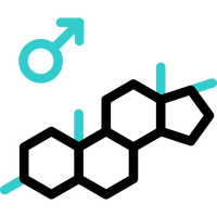 Molecular structure with a male hormone (testosterone) symbol on a white background
